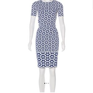Alexander McQueen Jacquard Dress